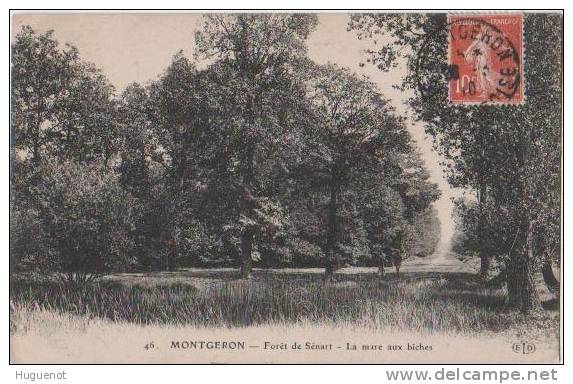 D - CARTE POSTALE - 91 - MONTGERON - FORET DE SENART - LA MARE AUX BICHES - - Montgeron