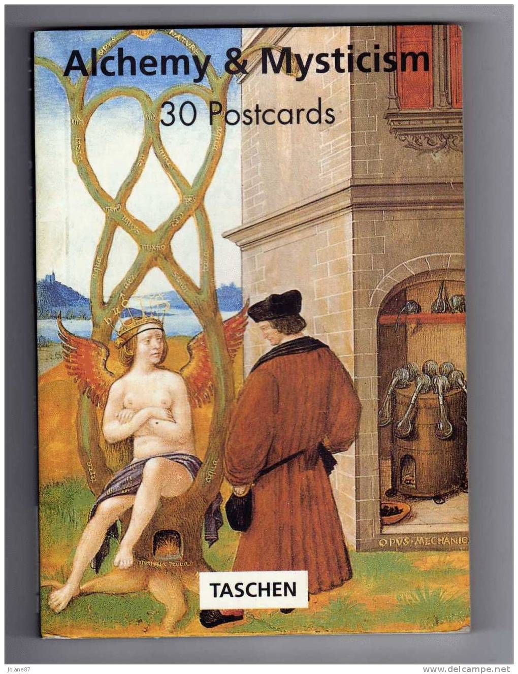 LIVRET DE 30 CARTES POSTALES     -  ALCHEMY & MISTICISM   -   ALCHIMIE ET MYSTICISME   -   TASCHEN - Livres & Catalogues