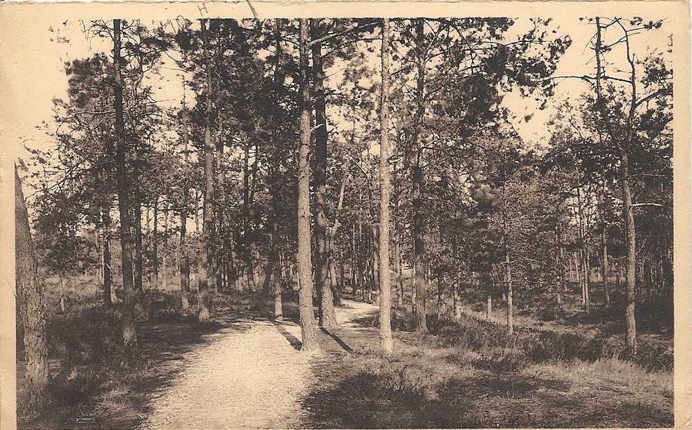 BELGIQUE   Au Creux Des Bois     (2scans) - Keerbergen