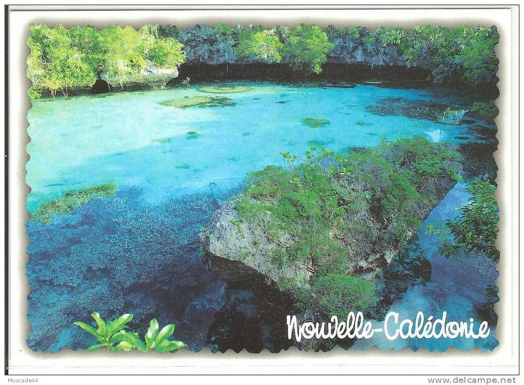 NOUVELLE CALEDONIE - L AQUARIUM NATUREL DE MARE - Nouvelle Calédonie