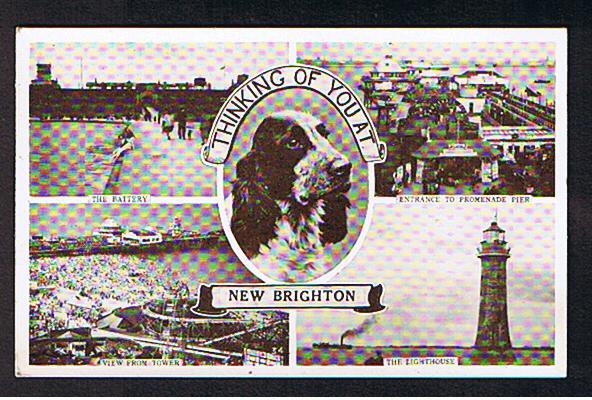 RB 612 - Multiview Postcard - Spaniel Dog At New Brighton Cheshire Wirral - Lighthouse Pier & Battery - Autres & Non Classés