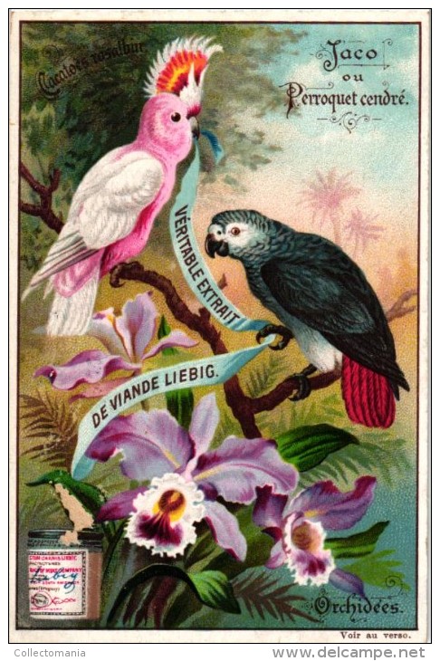 0540 Oiseaux Et Fleurs Exotiques - Extrait De Viande Liebig Set 6 Chromo Litho Cards PERFECT CONDITION - Liebig