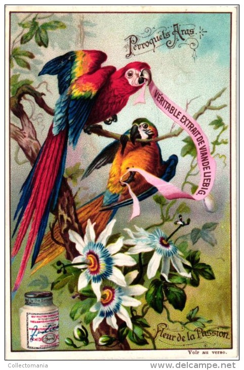 0540 Oiseaux Et Fleurs Exotiques - Extrait De Viande Liebig Set 6 Chromo Litho Cards PERFECT CONDITION - Liebig