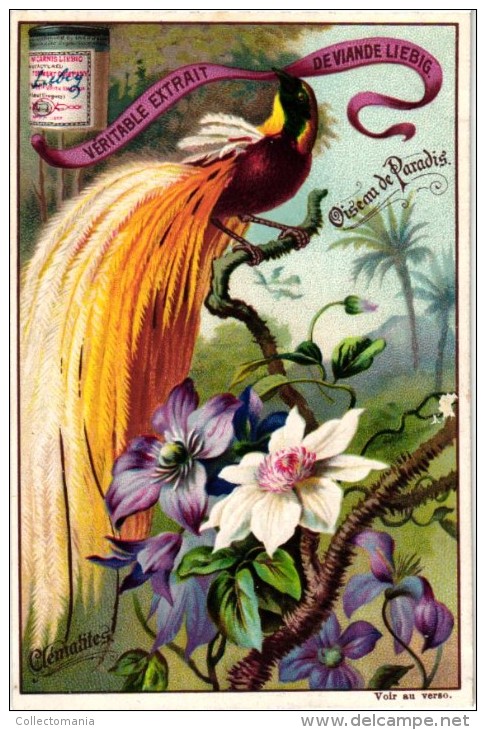 0540 Oiseaux Et Fleurs Exotiques - Extrait De Viande Liebig Set 6 Chromo Litho Cards PERFECT CONDITION - Liebig
