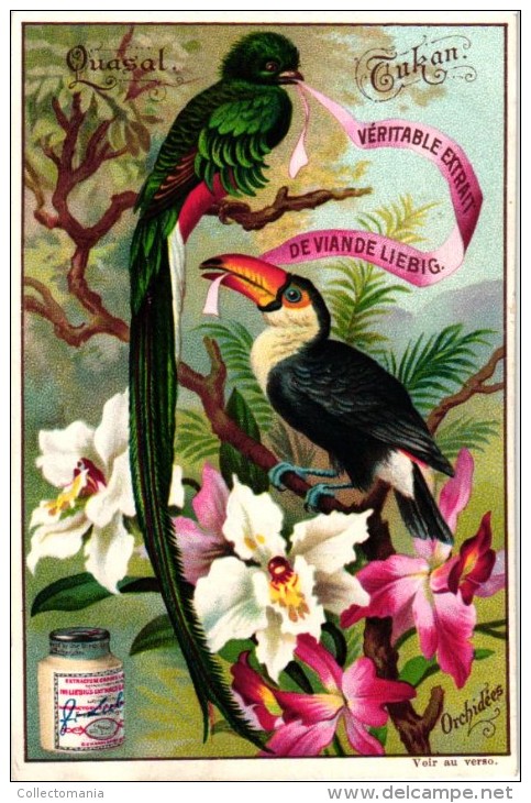 0540 Oiseaux et fleurs exotiques - Extrait de viande Liebig set 6 chromo litho cards PERFECT CONDITION