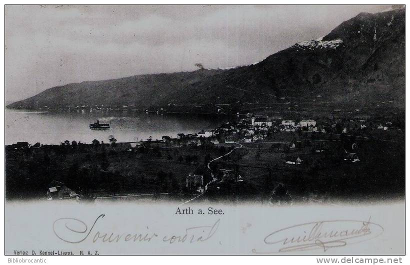 SUISSE - Cpa Précurseur  - SZ- ARTH A. SEE - PANORAMA - Arth