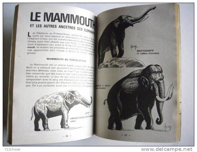 REVUE ZEMBLA N° 473 JUIN 1994 CHAUVE SOURIS MAMMOUTH ELEPHANT GEORGE DARWIN TORTUE PINSON COELACANTHE POISSON - Zembla