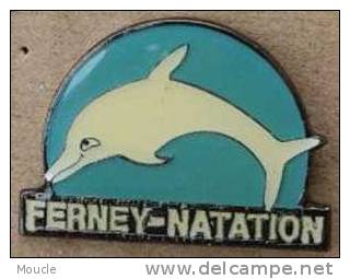 DAUPHIN - FERNEY NATATION - Schwimmen