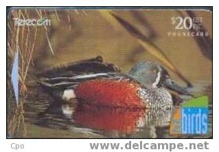 # NEW_ZEALAND NZ29S_2 Birds II - Shoveler 20 Gpt 01.96  -oiseaux,birds-  Tres Bon Etat - New Zealand