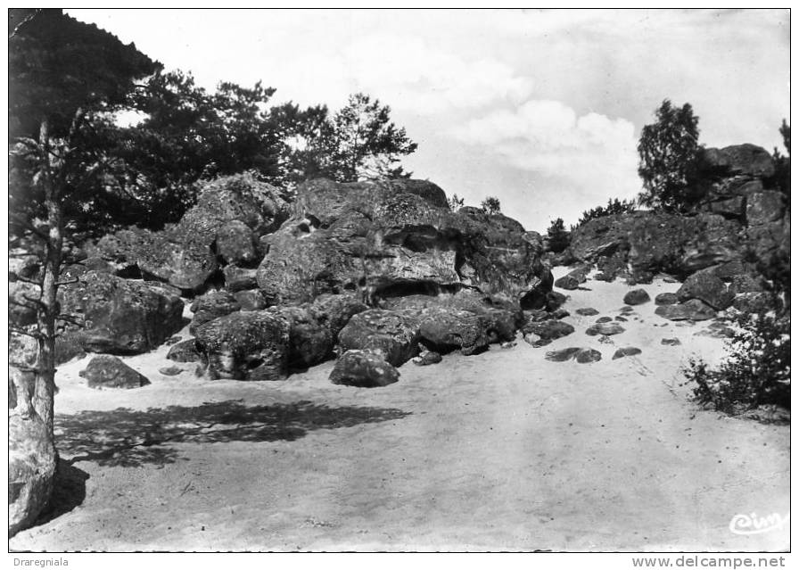 Larchant - Mer De Sable - Larchant