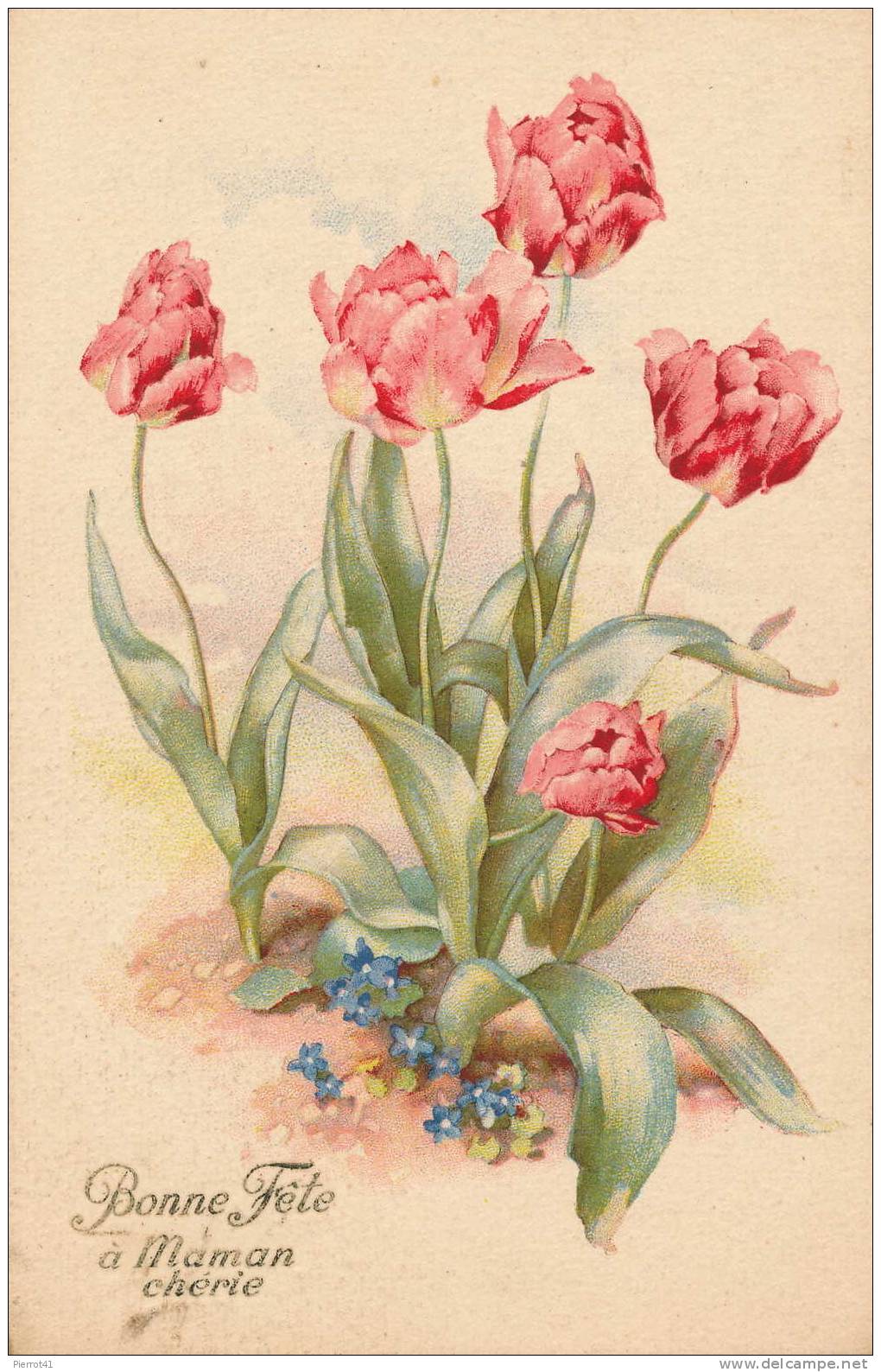 Jolie Carte Tulipes "Bonne Fête à Maman Chérie" Ayant Voyagé En 1951 - Fête Des Mères