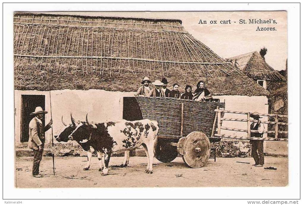 PORTUGAL  /  AZORES  ( Archipel Des Açores ) /  ST. MICHAEL´ S  /  AN  OX  CART   ( Char à Boeufs ) - Açores