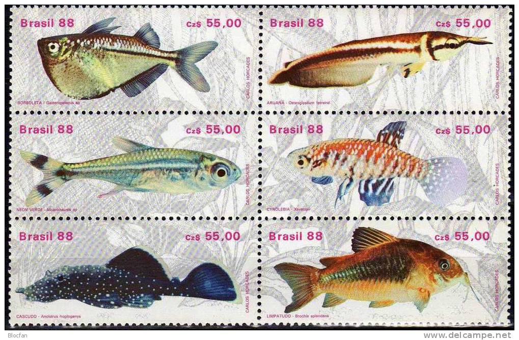 Süßwasser-Fisch 1988 Brasilien 2276/1,2ZD,6-Block+Kleinbogen ** 33€ Bauchfisch Gabelbart Neon Kärpfling Glanzwels BRAZIL - Sammlungen (im Alben)