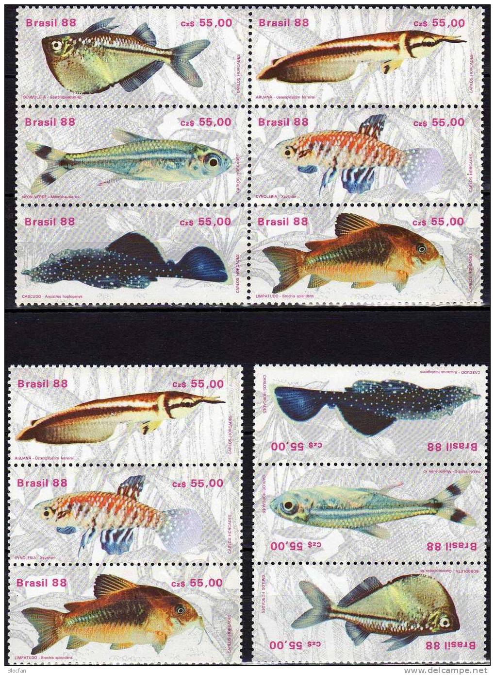 Süßwasser-Fisch 1988 Brasilien 2276/1,2ZD,6-Block+Kleinbogen ** 33€ Bauchfisch Gabelbart Neon Kärpfling Glanzwels BRAZIL - Colecciones (en álbumes)
