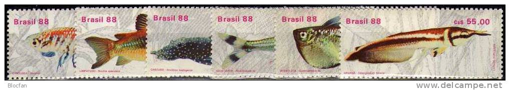 Süßwasser-Fisch 1988 Brasilien 2276/1,2ZD,6-Block+Kleinbogen ** 33€ Bauchfisch Gabelbart Neon Kärpfling Glanzwels BRAZIL