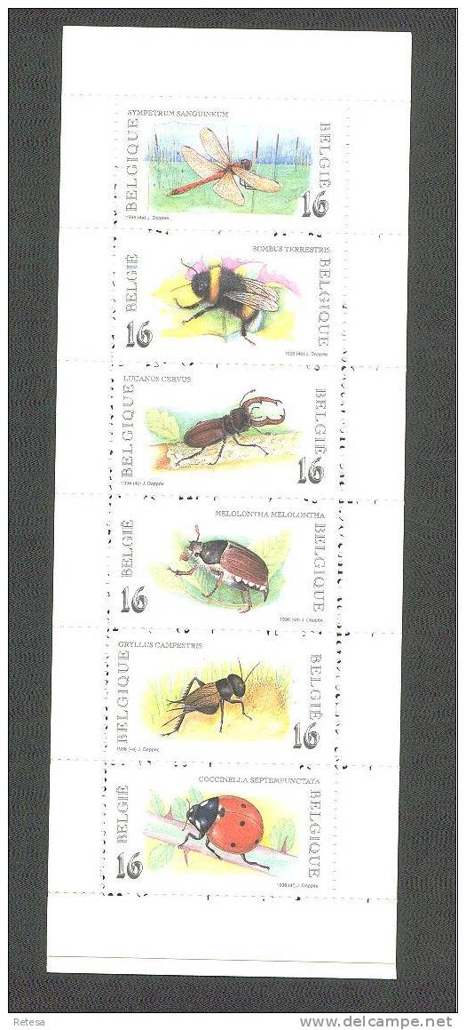 BELGIE  CARNET INSEKTEN KEVERS   1996 ** - Non Classés