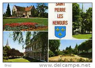 CPM  ST Pierre Les Nemours - Saint Pierre Les Nemours