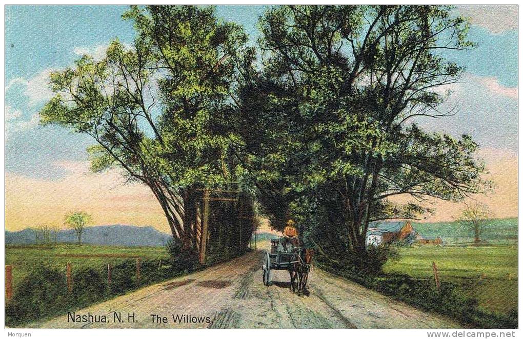 1186. Postal  NASHUA (new Hampshire). The Willows - Nashua