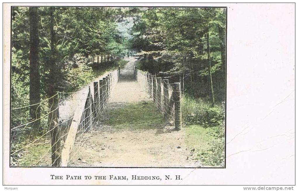 1120. Postal  HEDDING (New Hampshire), The Path To Te Fram - Other & Unclassified