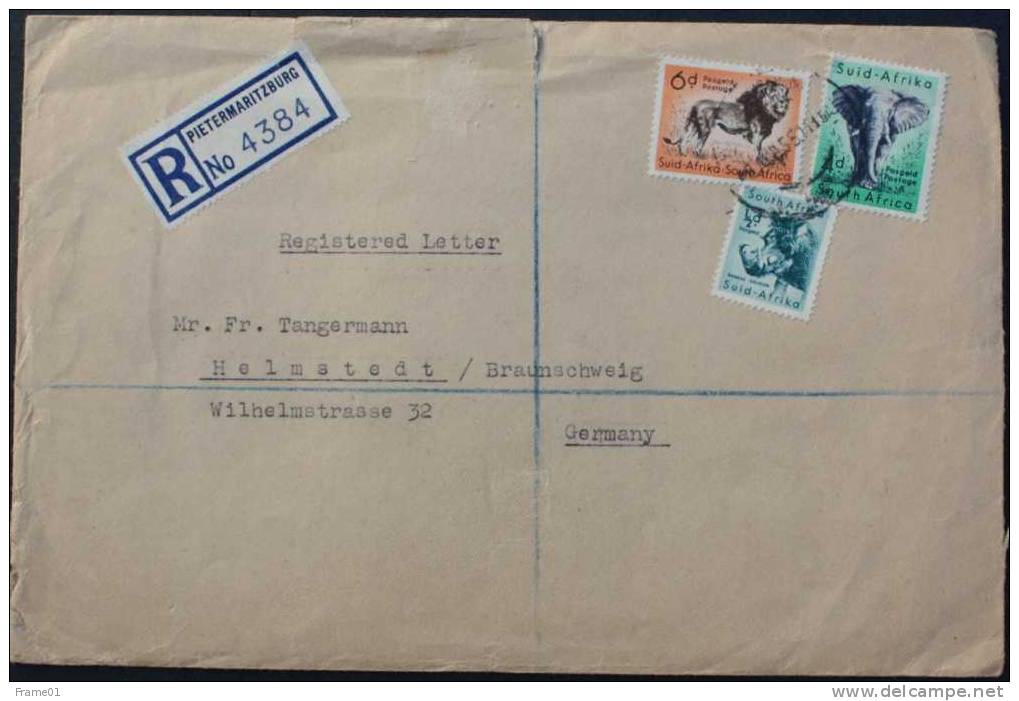 Cover / Brief / Lettre RSA  1955 Pietermaritzburg  -- Germany - Storia Postale