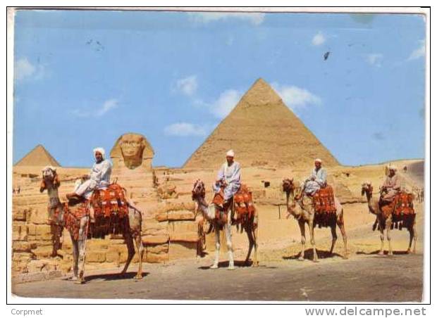 GREECE - VF 1977 EGYPYT GIZA POSTCARD Sent From ATHENS To PHILADELPHIA - Covers & Documents