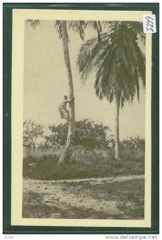 GABON - A L'ASSAUT DU COCOTIER - TB - Gabón