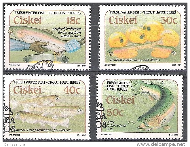 Ciskei 1989 Michel 153 - 156 O Cote (2002) 4.00 Euro Truite Cachet Rond - Ciskei