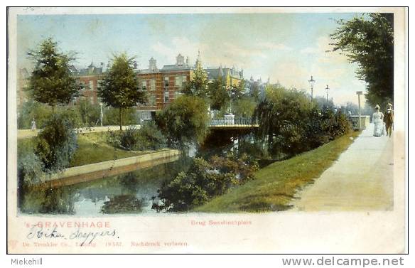 's GRAVENHAGE-BRUG SWEELINCKPLEIN - Den Haag ('s-Gravenhage)