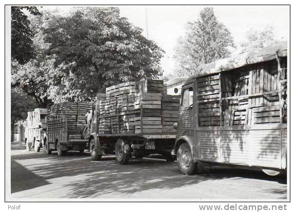 Photo Au Format 12,50 X 17 Cms - CHATEAURENARD (13)  Camions    (ph 63) - Lieux