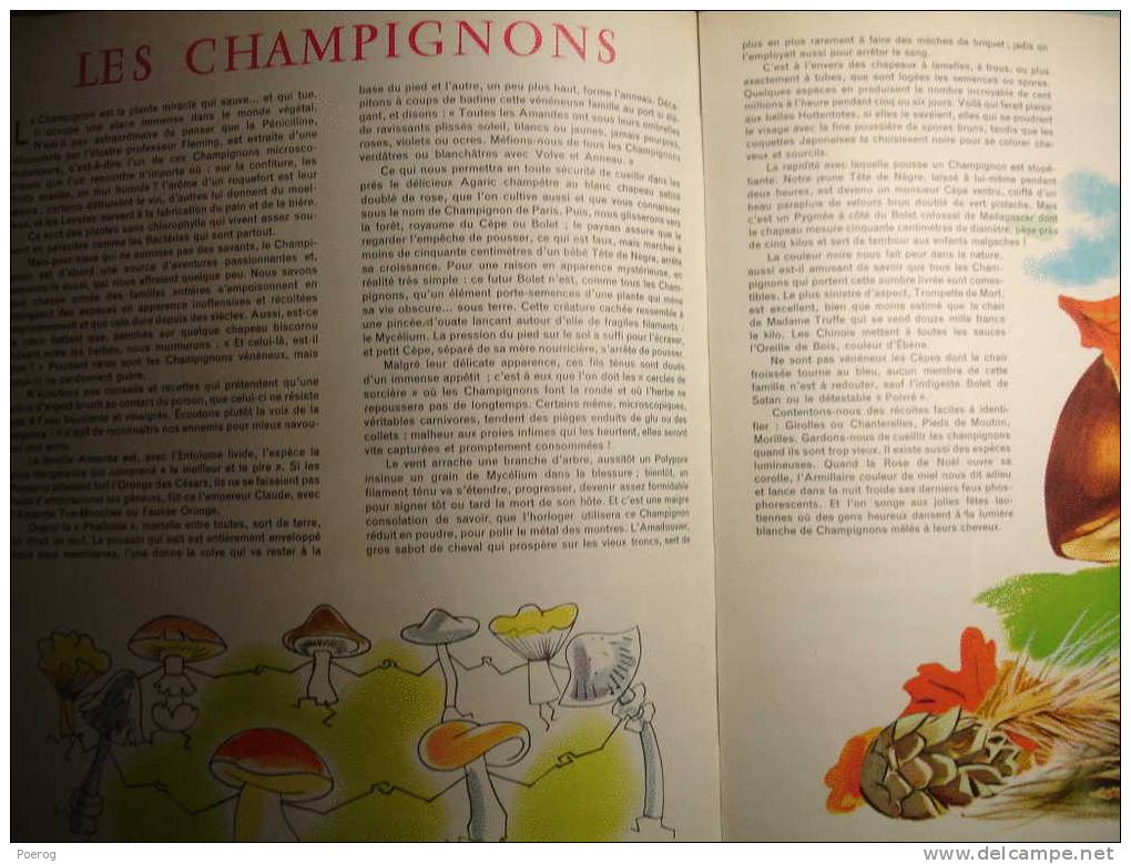 LE MONDE DES PLANTES - ENCYCLOPEDIE EN COULEURS HACHETTE - MARCELLE VERITE - ROMAIN SIMON - 1957