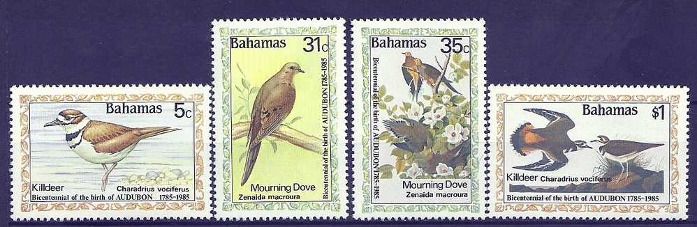 Bahamas 1985 Birds Oiseaux  Aves KIlldeer Dove MNH - Palomas, Tórtolas