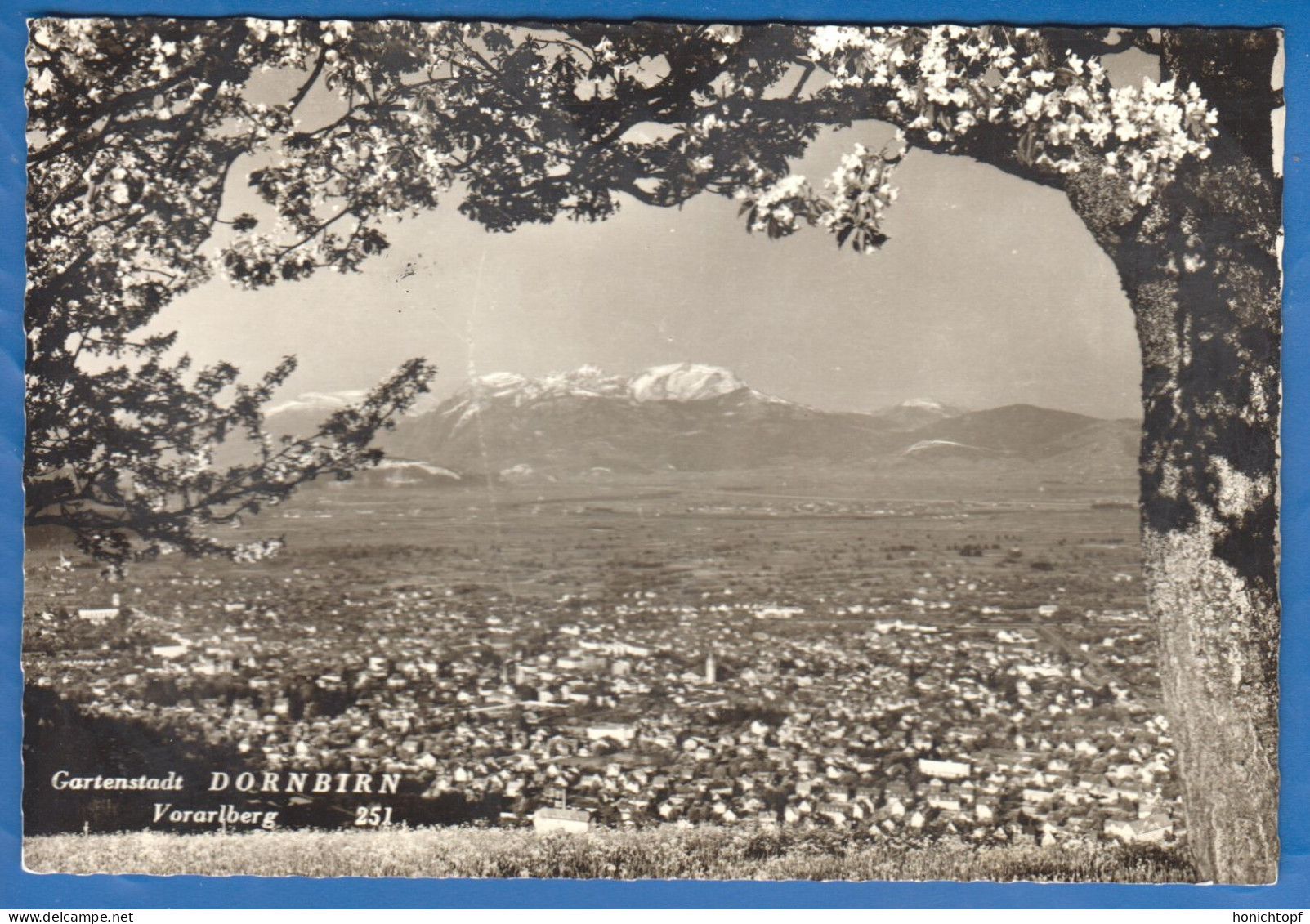 Österreich; Dornbirn; Panorama Gartenstadt; 1966 - Dornbirn