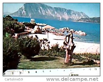 SAN TEODORO   SARDEGNA  CODA DI CAVALLO  VB1981  CT17282 - Olbia