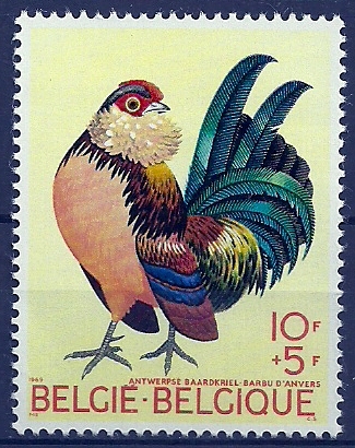 Belgica Belgium 1969 Birds Oiseaux  Aves Gallo Cock MNH - Gallinacées & Faisans