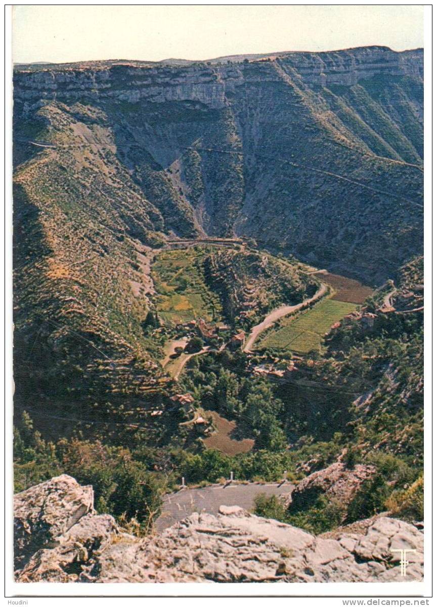 Languedoc - Le Cirque De Navacelles Vu De Blandas - Languedoc-Roussillon