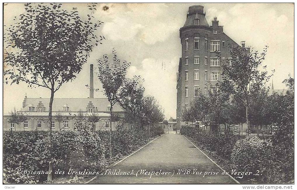 THILDONCK ( Wespelaer ) - Pensionnat Des Ursulines - N° 18 Vue Prise Du Verger 2 - Haacht