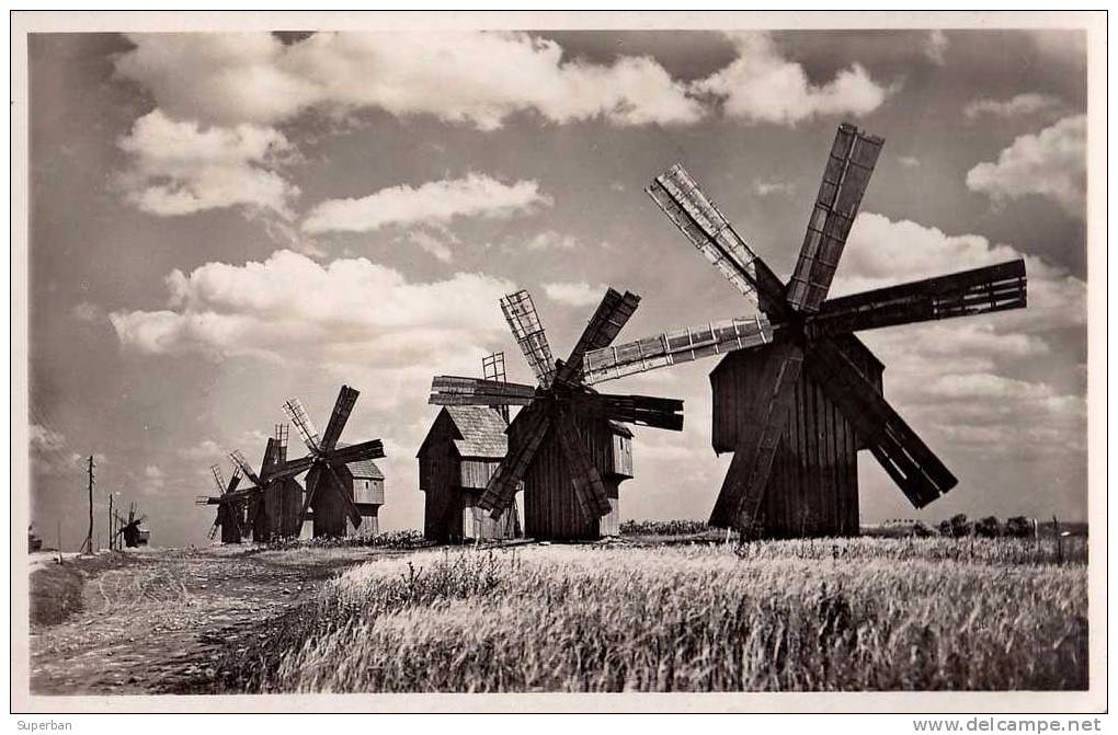 BASARABIA : WINDMILLS / MOULINS À VENT En BESSARABIE - CARTE ´VRAIE PHOTO´  - ANNÉE : ENV. 1935 (f-846) - Moldavie