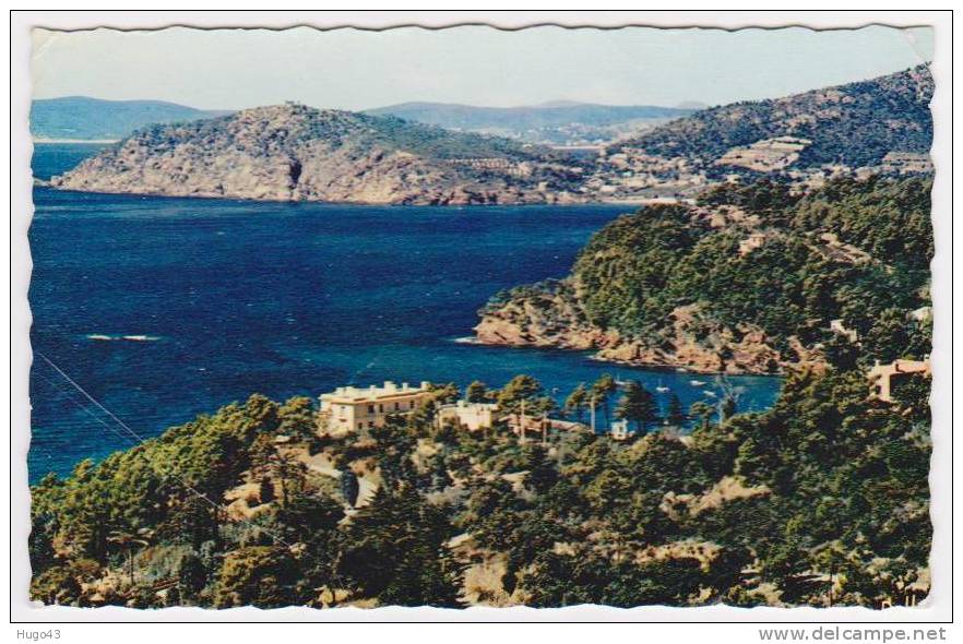 LE RAYOL - VUE SUR LE CANADEL, PRAMOUSQUIER ET LE CAP NEGRE - CARTE DE DEUXIEME CHOIX - Rayol-Canadel-sur-Mer