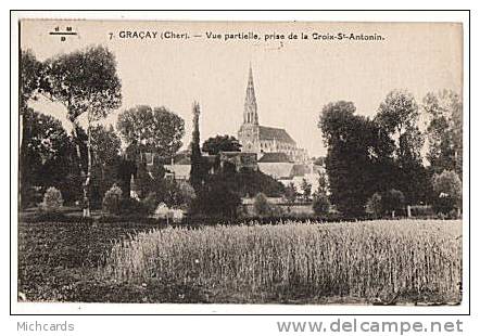 CPA 18 GRACAY - Vue Partielle, Prise De La Croix St Antonin - Graçay