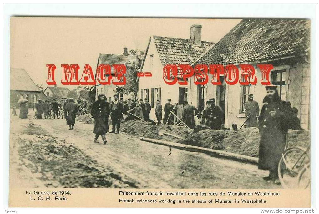 MUENSTER - MUNSTER - Guerre 14 - French Prisoners Working In The Streets - Prisonniers Francais - Dos Scané - Muenster