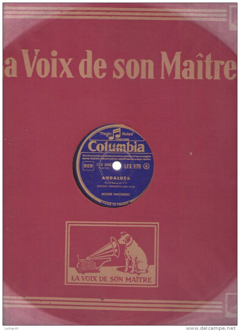 Andaluza - Viva Navara - Machado - 78 Tours - 78 Rpm - Schellackplatten