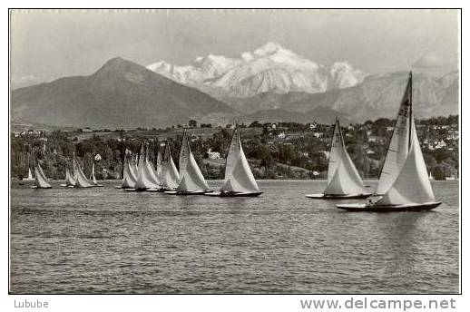 Genève - Départ De Régates Au Creux-de-Genthod      Ca. 1960 - Sailing