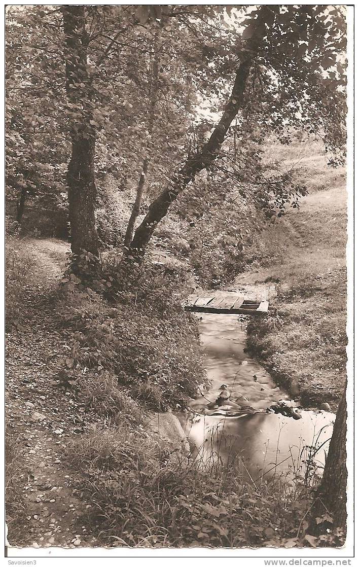 RUMILLY - Le Vieux Pont Des Chèvres - Rumilly