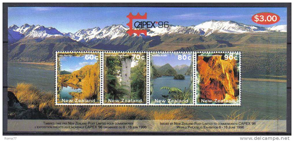 ZEL339 - NUOVA ZELANDA  1996, Foglietto Yvert N. 106  ***  Capex - Blocks & Sheetlets