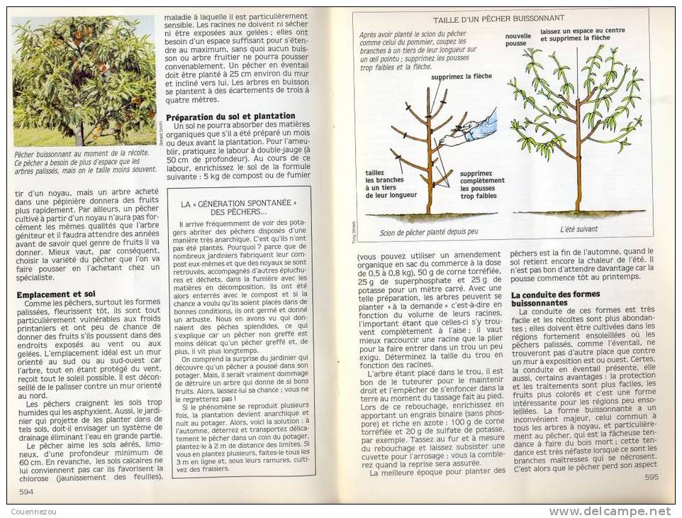 LE GUIDE DU POTAGER 22  LES PECHES  LE PECHER    Arboriculture - Jardinage