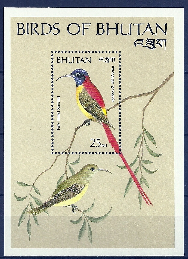 Bhutan 1989 Birds Oiseaux  Aves Fire Tailed Sunbird Souvenir Sheet MNH - Other & Unclassified