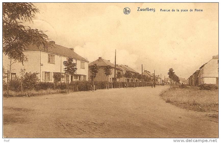 Zwartberg - Genk : Avenue De La Place De Rome - Genk