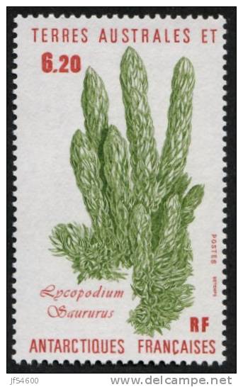 Taaf 119 ** - Unused Stamps