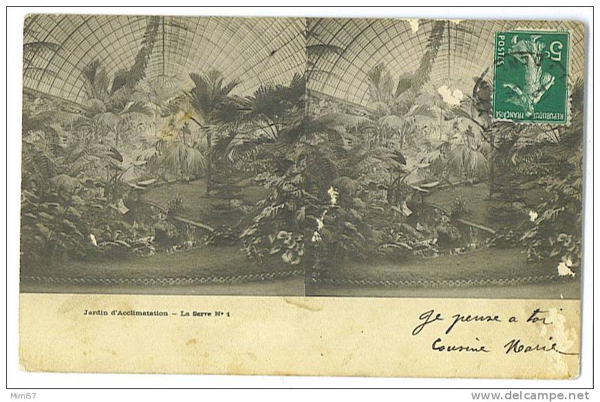 C.P.A. Stéréoscopique Jardin D'Acclimatation - La Serre - Stereoscope Cards