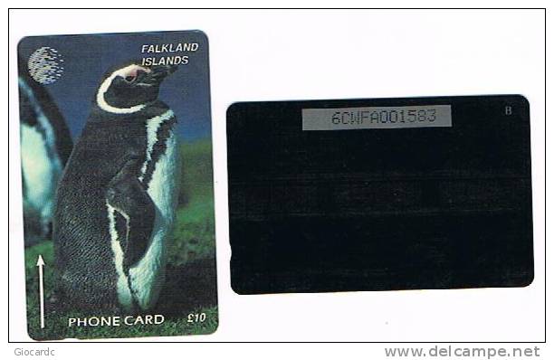 FALKLAND - GPT  - 1995 PINGUINI: JACKASS PENGUIN      CODE 6CWFA - USATA° (USED)  -  RIF. 1064 - Pinguini